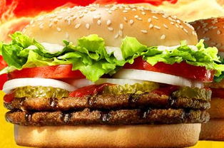 哆哆基 引領(lǐng)養(yǎng)生新風(fēng)尚，快餐行業(yè)的健康革命者